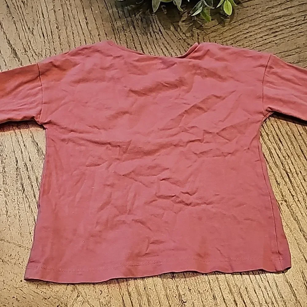 Long Sleeve dog and cat shirt size 5 Carters
